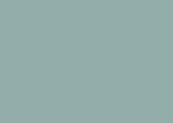 mint julep