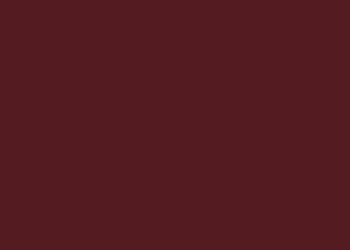 sun dried tomato