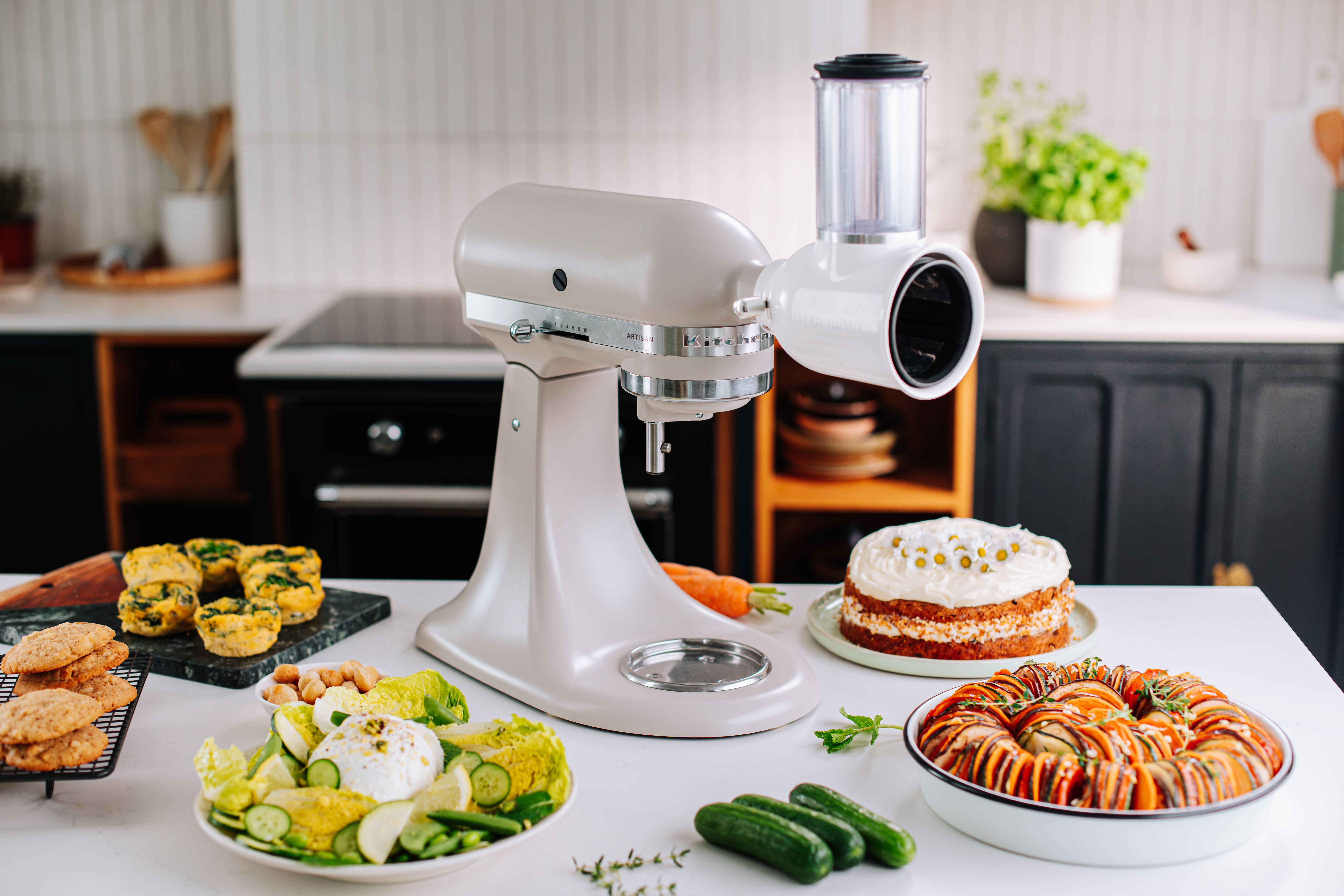 FRESH PREP SLICER SHREDDER_1 (1)